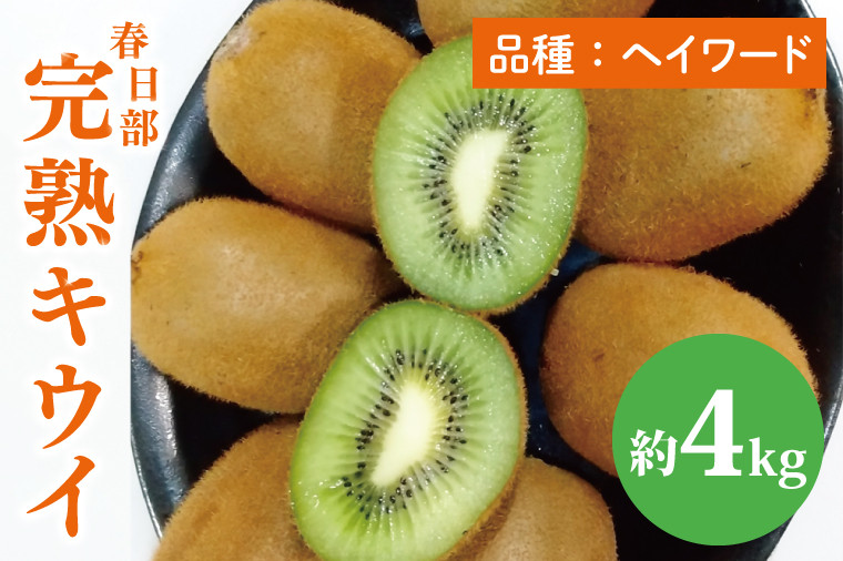 
                  【先行予約】【12月上旬より発送開始】春日部完熟キウイ4kg【埼玉県 春日部市 キウイ キウイフルーツ 4kg 完熟 国産 フルーツ 果物 ヘイワード】(BG002）
                