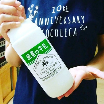 【毎月定期便】風景の牛乳 900ml　牧場てづくりのむヨーグルト 900g　各3本全12回【配送不可地域：離島】