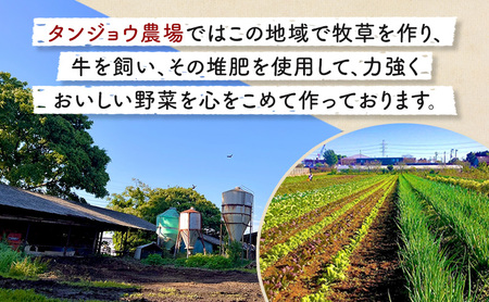 タンジョウ農場 農場体験 1名様分 体験 農業体験 チケット ランチ スイーツ 野菜のおみやげ付 千葉市 千葉県