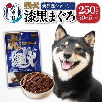 ふるさと納税 焼津市 無添加 犬 用 おやつ「鰹犬」焼津産鮪ジャーキー5袋(a12-018)