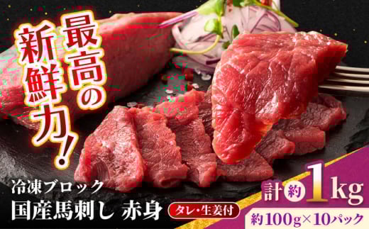 【フジチク】 国産 馬刺し 赤身 約100g×10個（計約1kg）タレ付き 馬 馬肉 肉 熊本県 【亀井通産 株式会社】 [AYBQ049]