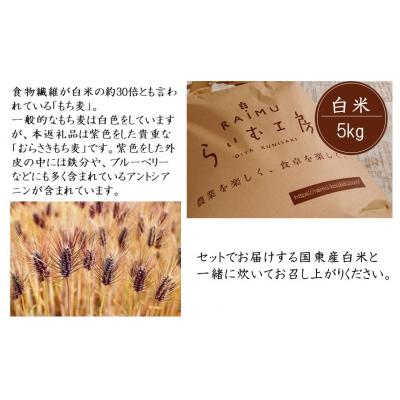 ふるさと納税 国東市 らいむ工房のむらさきもち麦500gと白米5kg_2506R |  | 01
