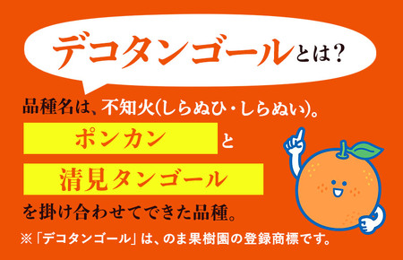 デコタンゴール （2kg） [K003680K2] 人気商品 国産 高級フルーツ 人気商品 みかん 柑橘 フルーツ 果物 乃万青果 のま果樹園 不知火 ポンカン