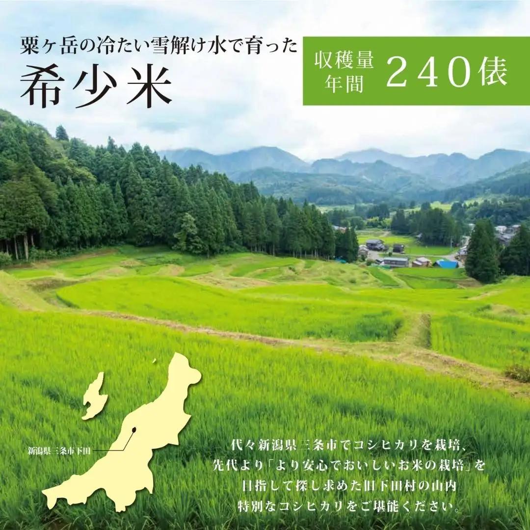 [定期便] 天水田で育った コシヒカリ 5kg × 6か月 オーガニック米 新潟県産 コシヒカリ