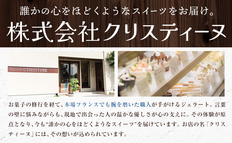 ジェラート アイス スイーツ SANAGOCHI GELATO 12個 株式会社クリスティーヌ 《30日以内に出荷(土日祝除く)》 徳島県 佐那河内村 お菓子 ご褒美 プレゼント いちご チョコ ピス