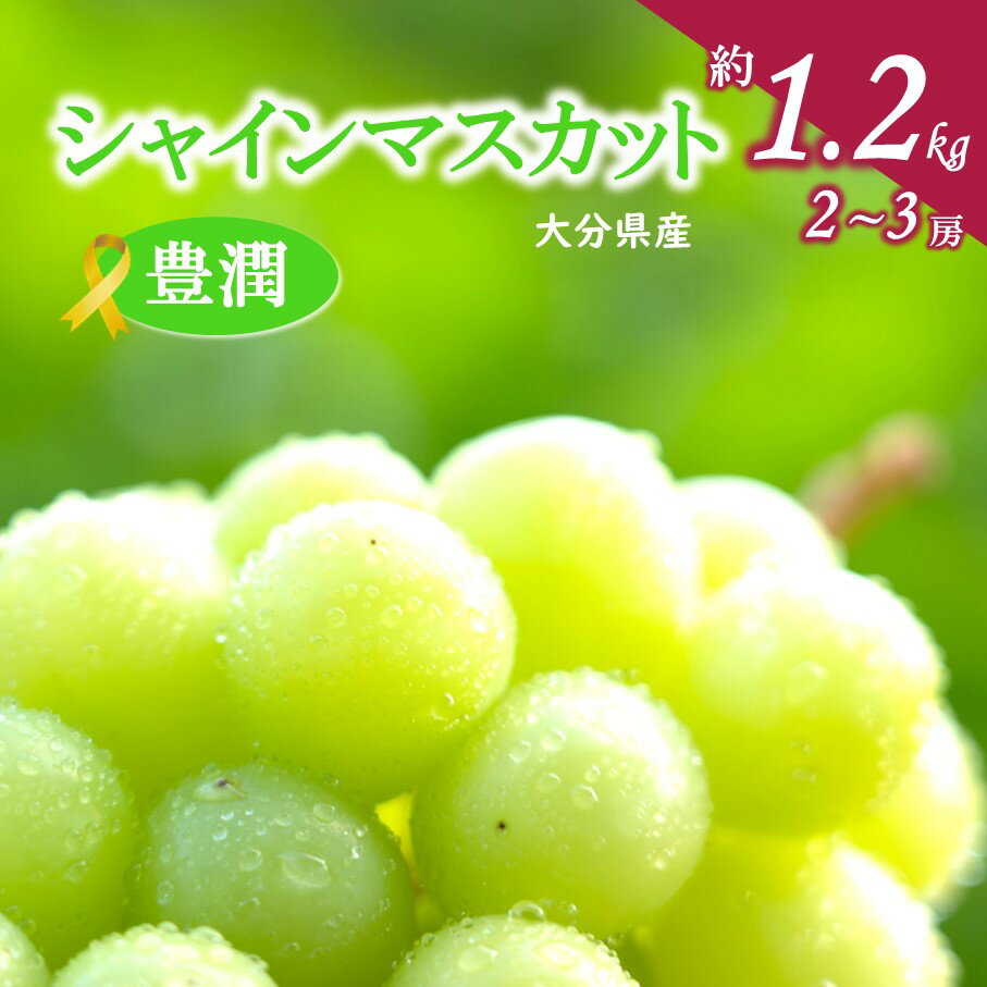 【ふるさと納税】シャインマスカット 令和7年発送 約 1.2kg 2～3房 大分県産 9月 10月 ぶどう マスカット フルーツ 果物 お取り寄せ 人気 おもてなし 送料無料