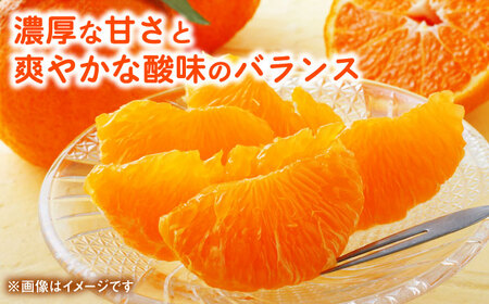 【先行予約】 デコポン　約3kg 柑橘 みかん 蜜柑 熊本 フルーツ 果物 【日本フルーツ株式会社】[ZFJ033]