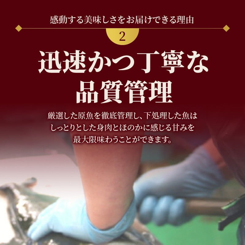 【冷凍】活〆日向灘真鯛と生アトランサーモンの漬け丼2種食べ比べセット100g×8袋 N019-YB252