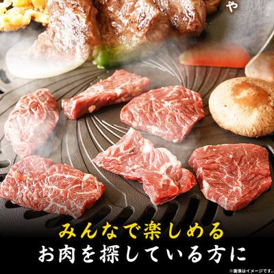ふるさと納税 西予市 <やわらか味付き 牛ハラミ 約500g> 特製タレ漬け 訳あり牛肉 肉 はらみ おいしい |  | 03