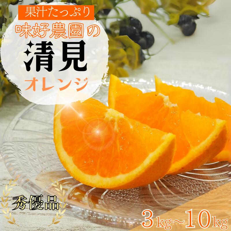 【ふるさと納税】 清見オレンジ 3kg 5kg 10kg 秀優品【S～3Lサイズ混合】【2026年3月中旬から2026年4月中旬頃に順次発送】《 レビューキャンペーン 実施中 ! 》/ みかん 清見 和歌山 フルーツ 有田 果物 オレンジ 甘い ジューシー
