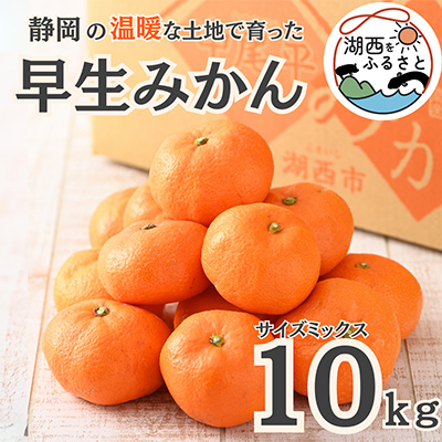 
                  ＜先行受付＞＜11月上旬より順次出荷予定＞早生みかん約10kg サイズミックス〔鈴木農園〕【1510106】
                