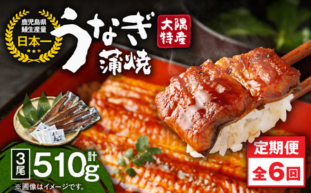 2483 【定期6回】大隅特産うなぎ蒲焼3尾（510g）【国産】 KN060-T07 うなぎ ウナギ 鰻 うなぎ蒲焼 鰻蒲焼き ウナギ蒲焼 惣菜 総菜 定期便 定期 魚類 魚貝類 魚介類 海産物 鰻重 うな重 ひつまぶし 鰻丼 土用の丑 魚 冷凍 寺園商店 ふるさと納税 鹿児島 鹿屋市 おすすめ ランキング プレゼント ギフト