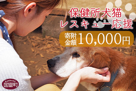 ＜保健所犬猫レスキュー【返礼品なしのご寄附】＞寄付金額10、000円※お礼状をお送りいたします。【 動物愛護 保護 犬 猫 いぬ ねこ イヌ ネコ 動物 どうぶつ ペット 応援 支援 寄付 使い道 寄附のみ いのちのはうす保護家 】