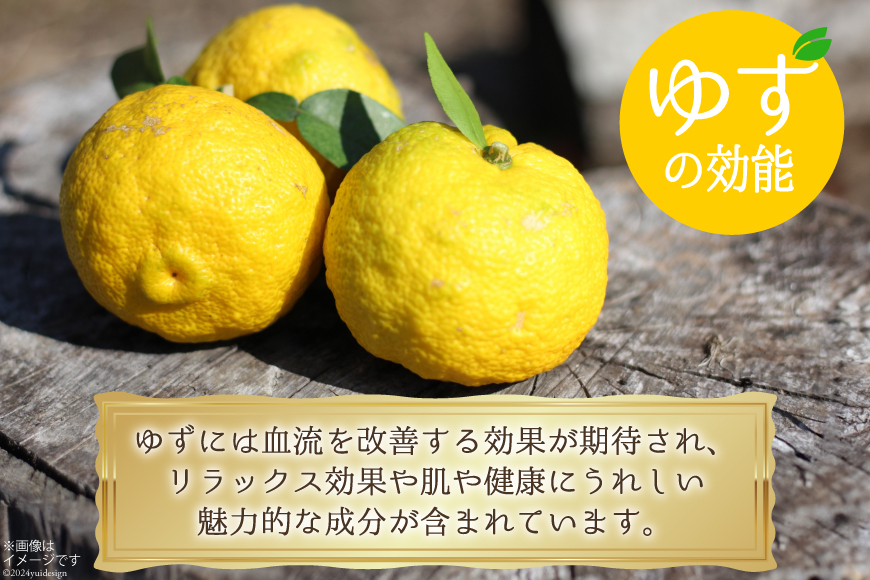 調味料 青ゆずごしょう 60g×2本 セット [農林産物直売所 美郷ノ蔵 宮崎県 美郷町 31ab0104] 青唐辛子 柚子 ゆず 塩 唐辛子 柚子胡椒 ギフト 調味料 宮崎県産　 産 国産 送料無料