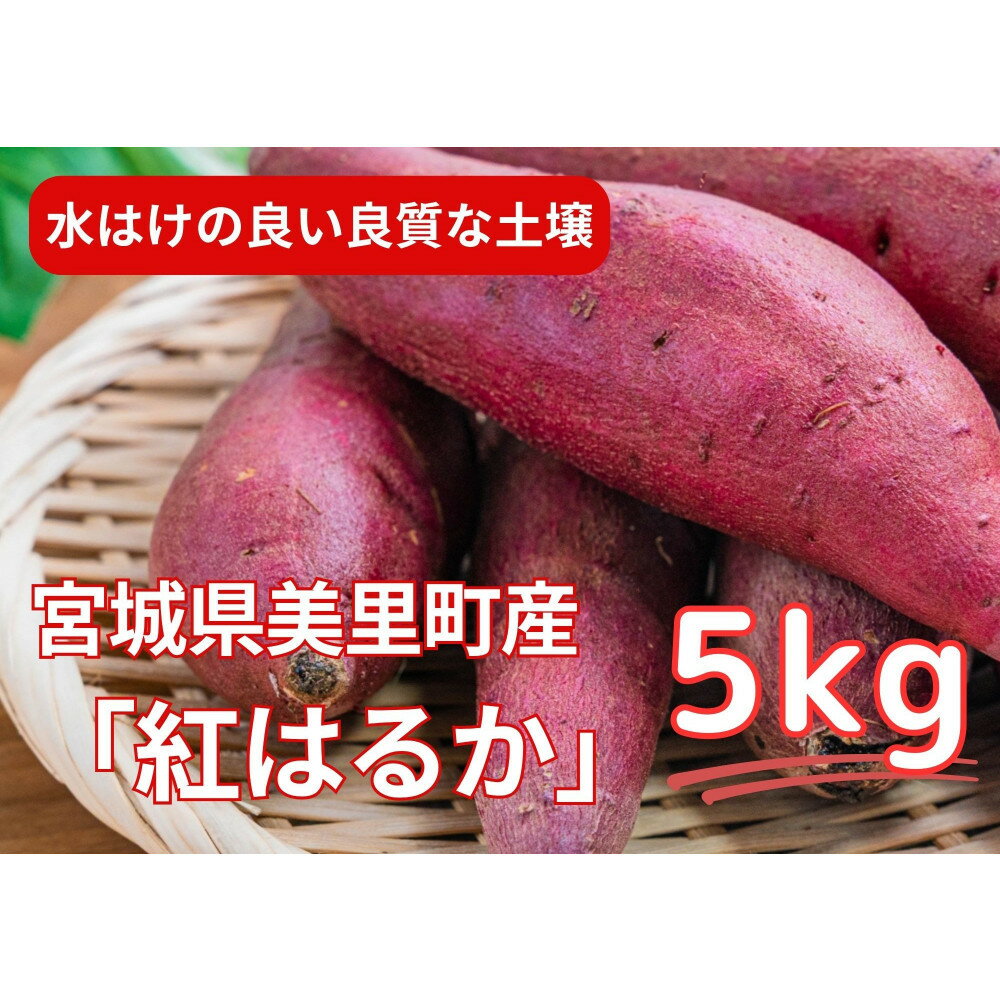 【ふるさと納税】甘くてしっとり★さつまいも(紅はるか)5kg | 美里町 甘くてしっとり さつまいも 紅はるか 旬の味覚 自然の甘さ おやつ ふるさと納税