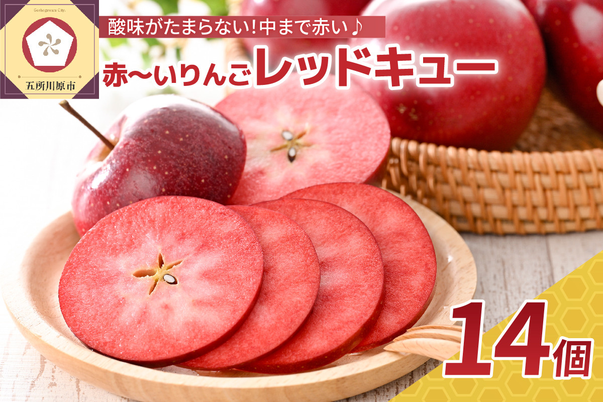 
【選べる配送時期】10月 りんご レアな品種レッドキュー 約2kg（14個） 青森 五所川原【 リンゴ 林檎 果物 】
