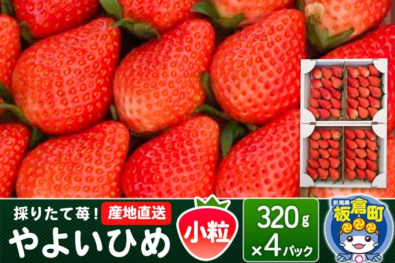 
                  いちご（やよいひめ）小粒 4パック 採りたて苺！産地直送 イチゴ ストロベリー 生
                