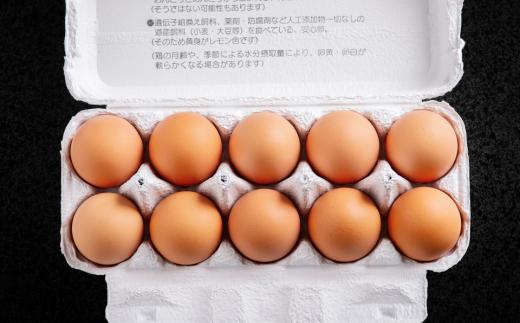 平飼い有精卵『たつかの恵み』40個×2ヶ月連続お届け SBTT001