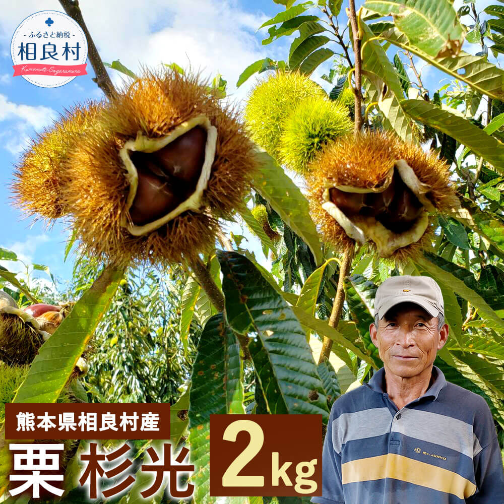 【ふるさと納税】 ＜予約＞栗 杉光 2kg 【2025年9月上旬発送予定】クリ くり 旬 大粒 九州産 熊本県産 相良村産 果物 フルーツ 予約 冷蔵配送 送料無料