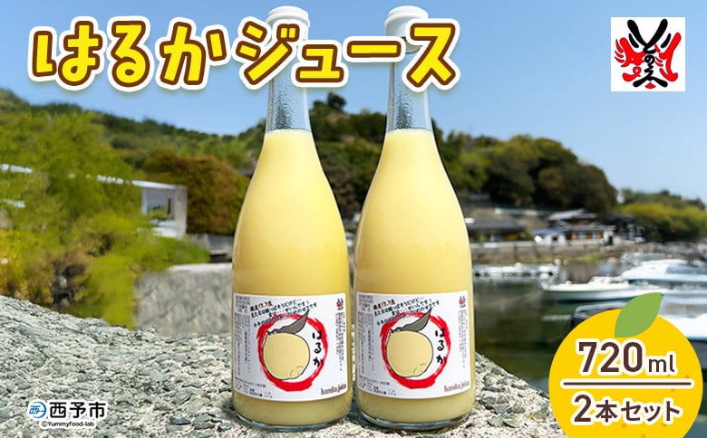 
            ＜はるかジュース 720ml×2本セット＞ 愛媛 果汁 100% はるか ジュース ストレート みかん じゅーす 100%ジュース セット 柑橘 果物 フルーツ 飲料 オレンジ 特産品 飲んで応援 渡江から一歩を踏み出す会 愛媛県 西予市【常温】
          