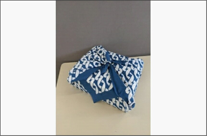 【ふるさと納税】フクハク風呂敷（博多手捺染）