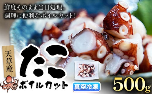 天草産 タコ ボイルカット 合計500g 高橋商店《30日以内に出荷予定(土日祝除く)》タコ 蛸 冷凍 カット済 小分けパック ボイル お刺身 たこ飯 たこ焼き ぶたあえ タコパ 唐揚げ 酢の物 国産 天草 苓北 熊本 送料無料【配送不可地域あり】