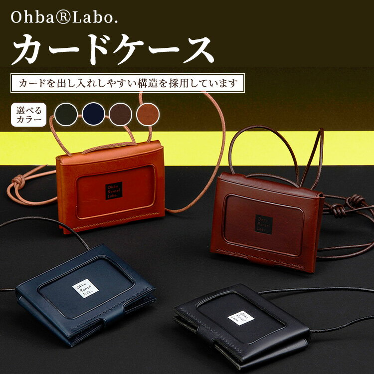 【ふるさと納税】【選べるカラー】カードケース