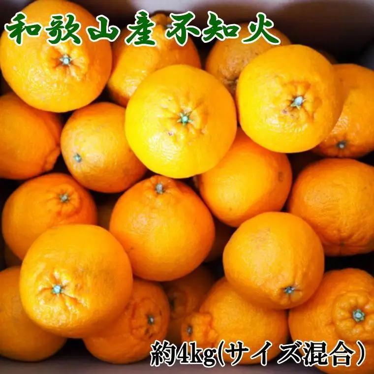 和歌山県産不知火約4kg（サイズ混合）★2027年2月下旬頃より順次発送［TM130］