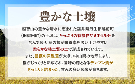 EXTREME くん炭 20L × 1箱（4kg以上）【もみがら燻炭 国産 福井県越前町産 100% くんたん 土壌改良 家庭菜園でも使い勝手の良い もみ殻燻炭 籾殻  園芸 資材 うるち米もみがらく