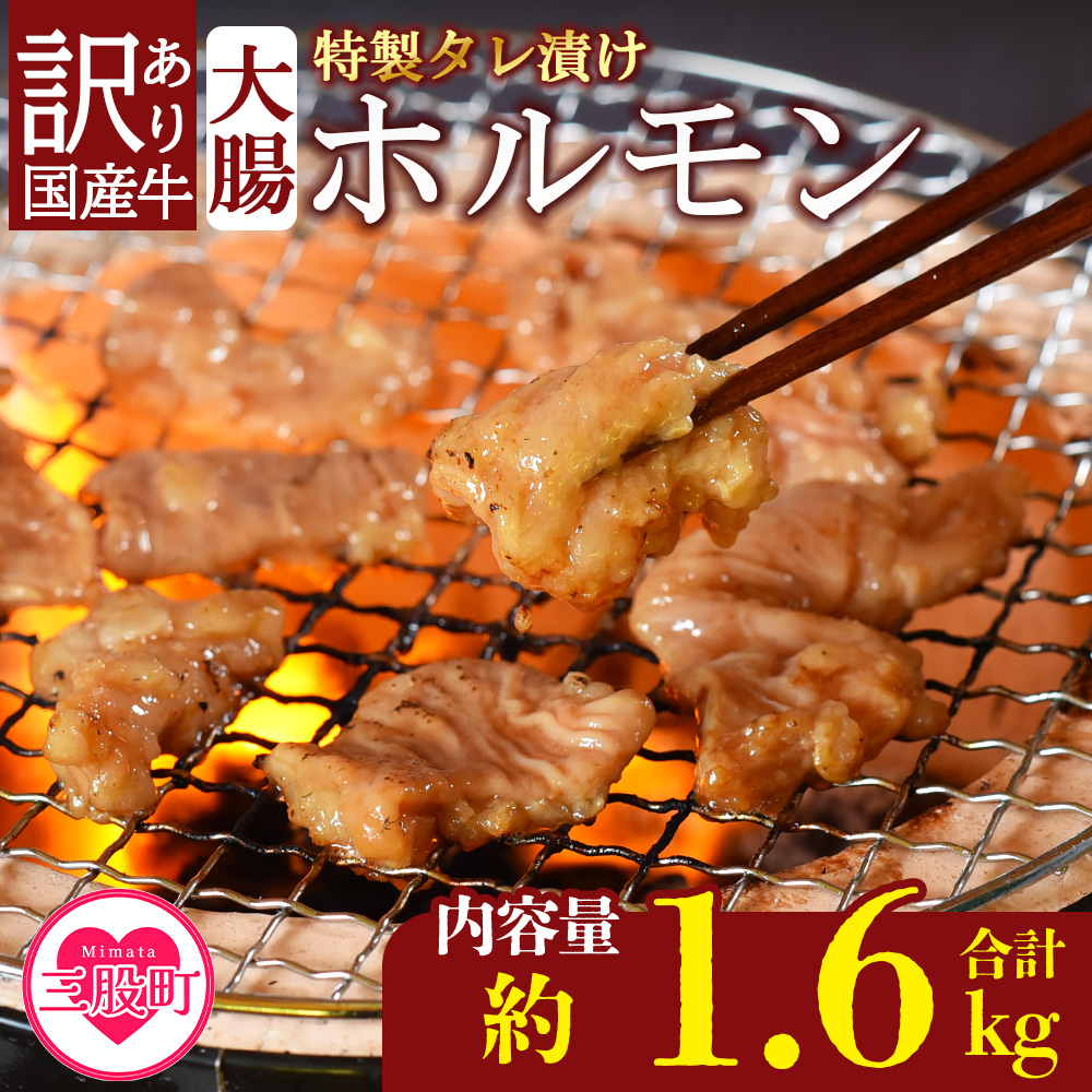 ＜【訳あり】国産牛ホルモン大腸（特製タレ漬け）計1.6kg(400g×4袋)＞大腸を秘伝の特製タレに漬け込みました！【MI024-nk-x1】【中村食肉】