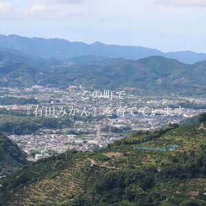 ZE6344n_【2025年先行予約】和歌山県産 有田みかん 4kg (2S～Lサイズ混合)【まごころ手選別】 2025年12月発送