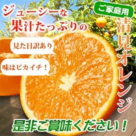 【2027年4月より発送】【ご家庭用訳アリ】紀州有田産清見オレンジ　7.5kg【日高町】【配送不可地域：離島】【1216974】