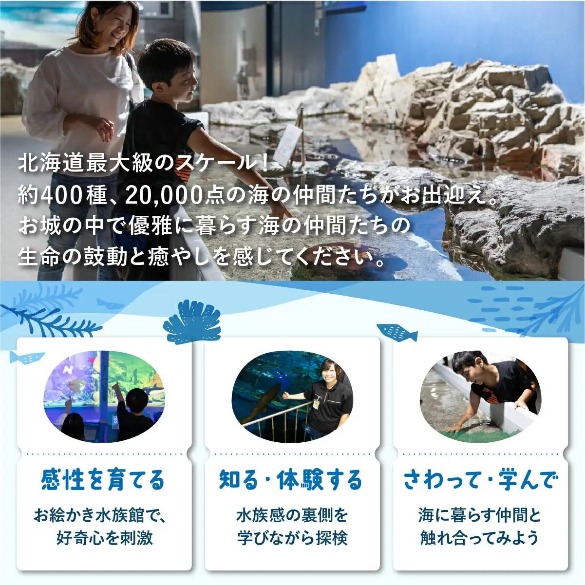 登別マリンパークニクス 入場券年間パスポート 大人 1名 【 チケット 北海道 観光 旅行 体験 パーク 入場券 入園券 割引 北海道 水族館 動物園 イルカ アシカ ペンギン パレード】mr-089