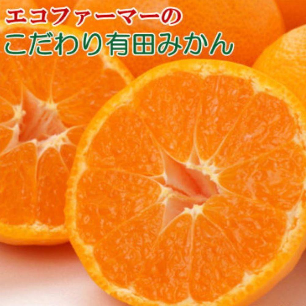 【ふるさと納税】【選べる内容量（5kg・7.5kg・10kg）】エコファーマーのこだわり有田みかん(サイズ混合) ★2025年11月中旬頃より順次発送 | 先行予約 和歌山 果物 くだもの フルーツ 柑橘 蜜柑 ブランド 取り寄せ ご当地 期間限定