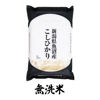ふるさと納税 十日町市 【毎月定期便】無洗米 魚沼産コシヒカリ(精米)5kg×1袋全6回