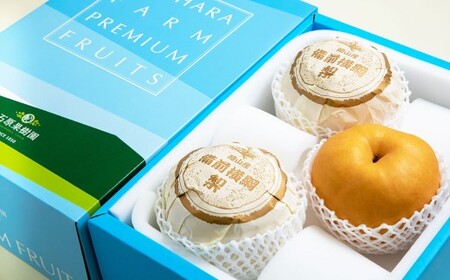 備前横綱梨 （あたご梨） 超大玉 3玉 約1kg～1.4kg 贈答箱 ／ 愛宕梨 梨 なし ナシ 果物  【2026年11月下旬～12月下旬発送予定】