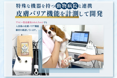 犬用入浴料「犬の温泉」（50g×5袋セット）_OS024-0001