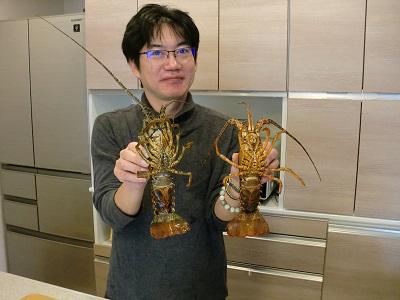 B63-001新鮮！天然活伊勢海老！（4匹）