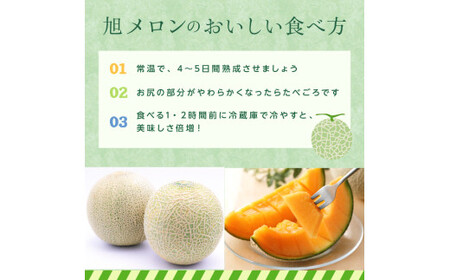 メロン めろん ＼光センサーで計測 糖度16度以上！／クインシー 【輝】2玉  茨城 鉾田 サングリーン旭 フルーツ 旬 プレゼント 人気 おすすめ 贈り物 甘い ヘルシースイーツ 産地直送 農業王国