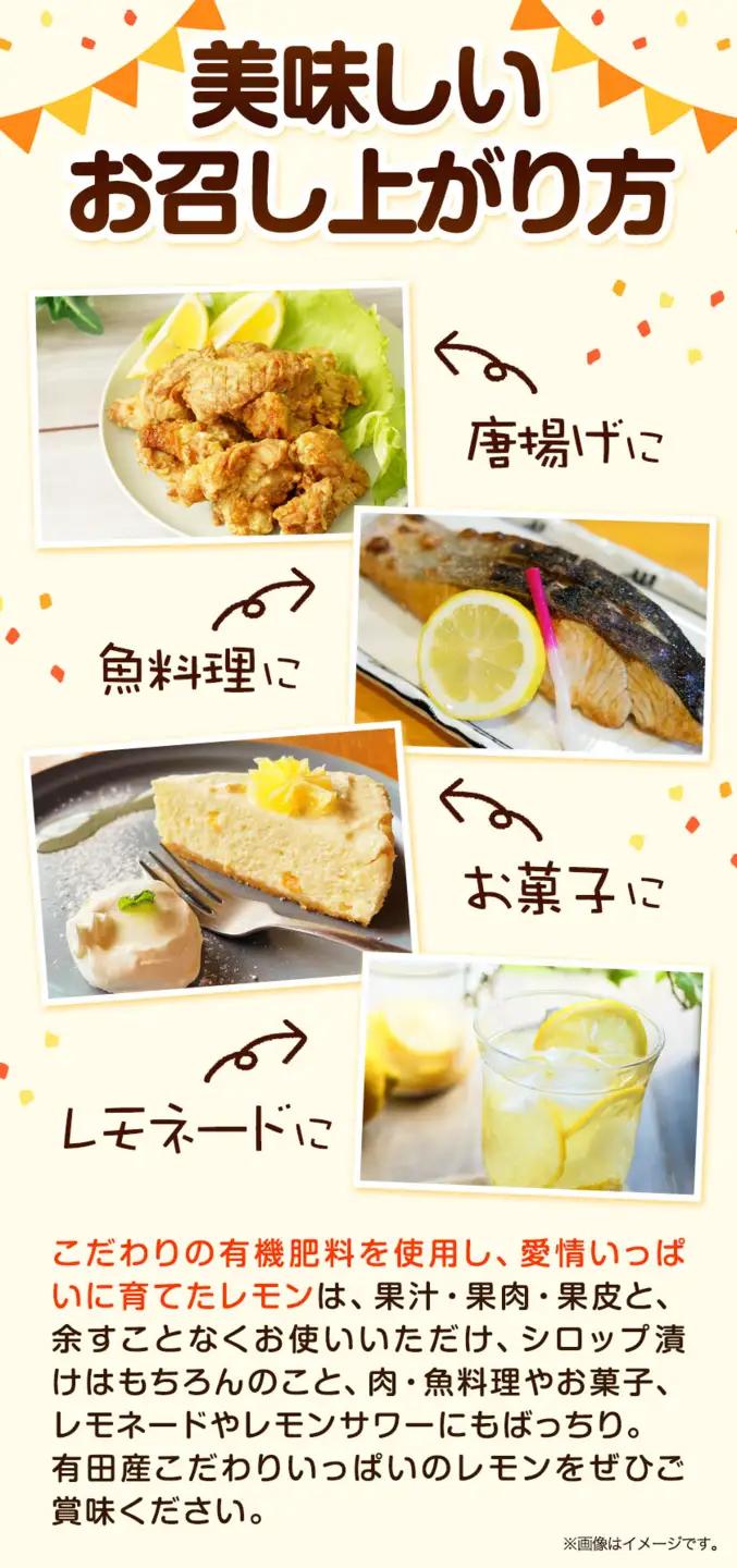 有田産 レモン 約 3kg 厳選館 レモン 檸檬