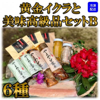 ふるさと納税 三股町 【テレビで紹介されました!】【先行受付】黄金イクラと美味高級品セットB【B-0207】