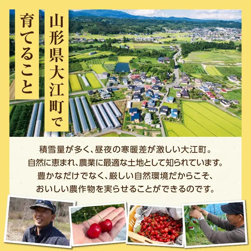 《先行受付》枝豆（味風香）約1kg【2026年7月下旬より順次発送予定】 022-003