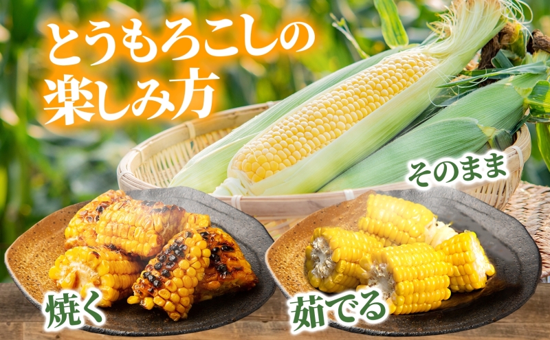 北海道産 とうもろこし 恵味 ゴールド 2L 18本 8月中旬～9月末頃お届け 朝採り めぐみ トウモロコシ コーン スイートコーン 甘い 新鮮 先行受付 夏 野菜 産地直送 送料無料 塩田農園 北海