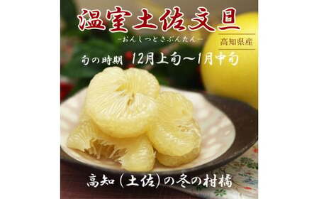 【先行予約】12月発送土佐文旦 温室土佐文旦 2~4L 約10kg 約10キロ(16~20個入り)〈2026年12月上旬?2027年1月中旬頃発送〉  / お得箱 ブンタン ぶんたん 土佐文旦 ハウス