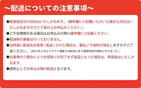 【予約：2024年4月～順次配送】訳あり 牛たん 1kg（500g×2）塩味 切落し 規格外 サイズ不揃い 家庭用 切り落とし 切り落し 冷凍 牛タン 小分け バーベキュー 焼肉 BBQ