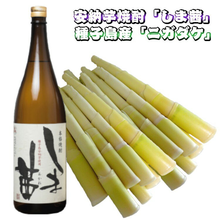 【ふるさと納税】焼酎 しま茜 と 種子島 ニガダケ のセット