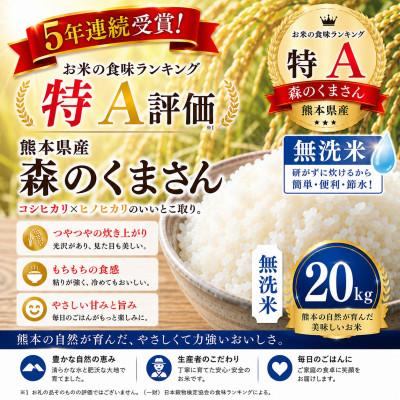ふるさと納税 玉名市 【熊本県産】 森のくまさん 無洗米 20kg