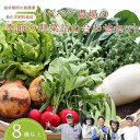 【ふるさと納税】送料無料　野菜詰め合わせセット　無農薬無化学肥料栽培　旬の野菜セット　季節の野菜詰め合わせセット　　IV-01　いそベジ農場