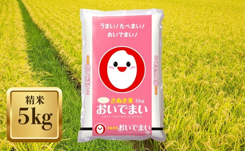 
                  【令和7年産】　香川のお米 おいでまい 5kg お米 精米
                