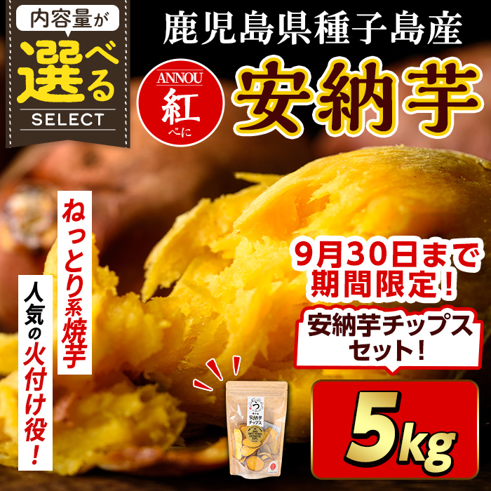 n175 ＜期間・数量限定セット！先行予約受付中！2025年10月中旬頃から12月中の発送予定＞種子島産 安納芋＜紅＞(5kg)＆安納芋チップス1袋セット 国産 安納芋 紅 種子島 芋 イモ いも さつまいも さつま芋 安納いも 野菜 【うずえ屋】